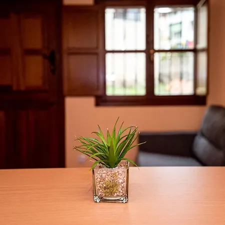 Apartamento La Encina *